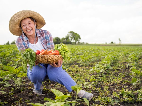 Agro expert: equipamentos que não podem faltar na fazenda