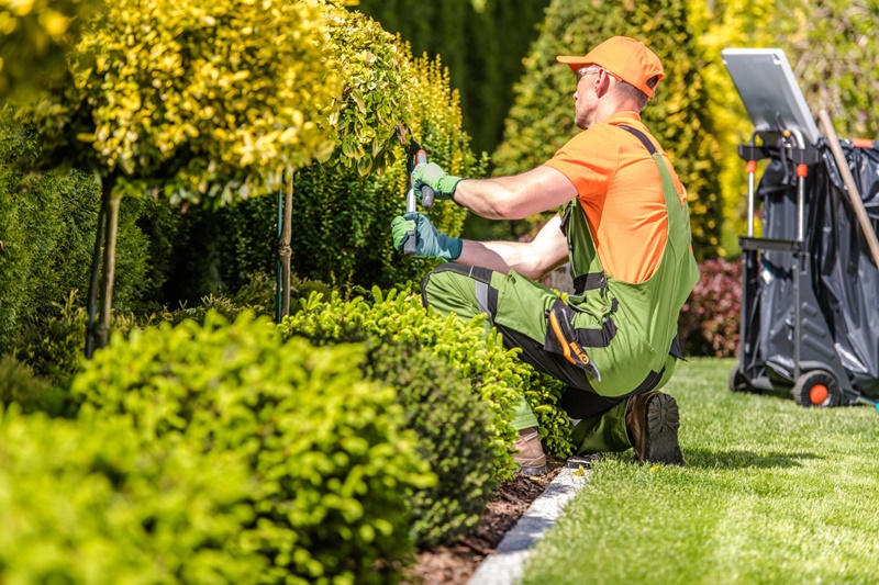 Jardinagem prática: encontre os melhores aparadores de grama para você