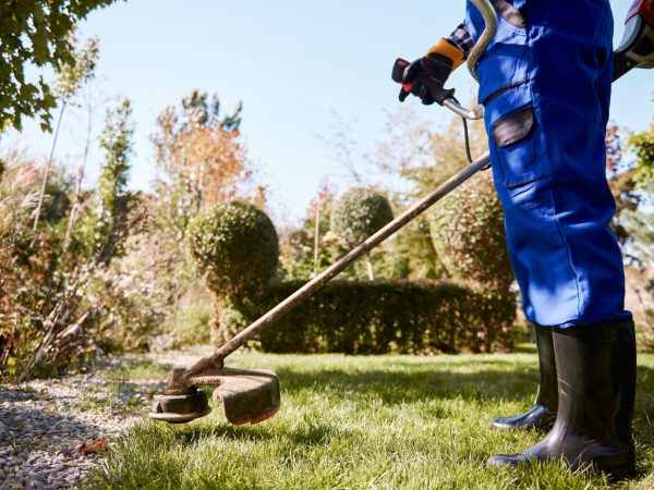 Domine seu jardim: escolhendo os melhores acessórios para seu cuidado