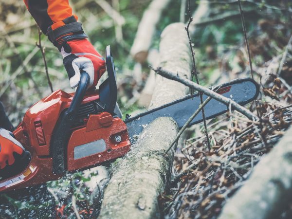 Motosserra x Perfuradores de Solo: Qual é a melhor ferramenta para sua necessidade?